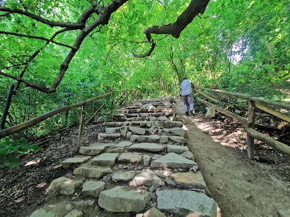 Park Linowy "Kazimierz"