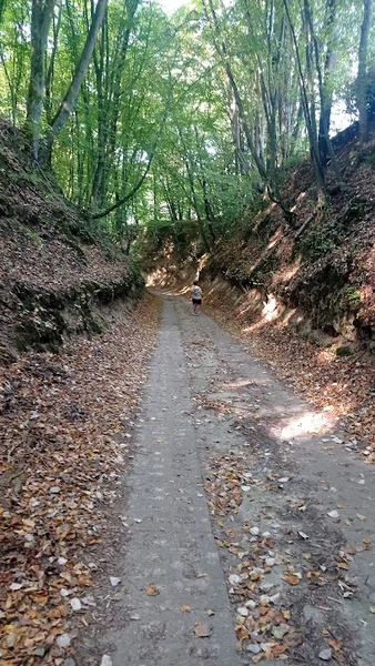 Wąwóz Kwaskowa Góra